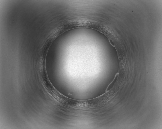 X0000073400744200608111258