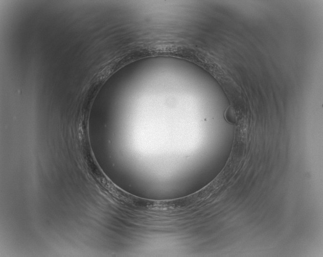 X0000073400746200608111258