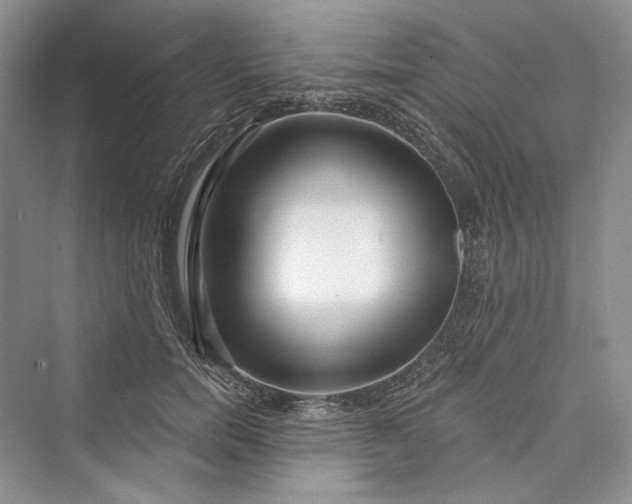 X0000073400750200608111258