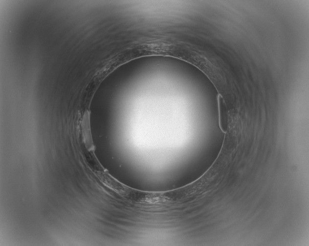X0000073400752200608111258