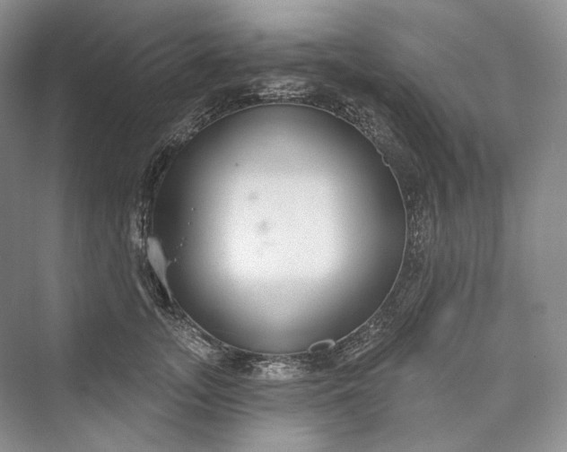 X0000073400755200608111259