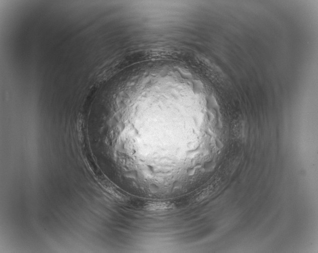 X0000073400757200608111259