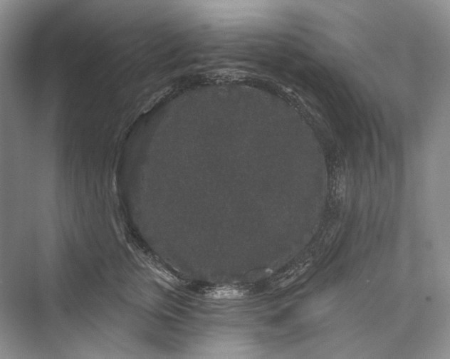 X0000073400759200608111259
