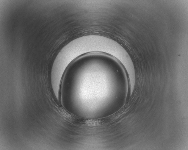 X0000073400762200608111259