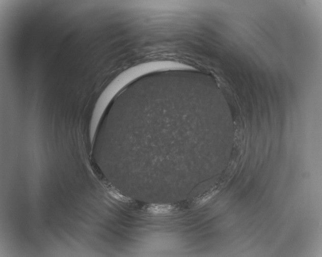 X0000073400767200608111259