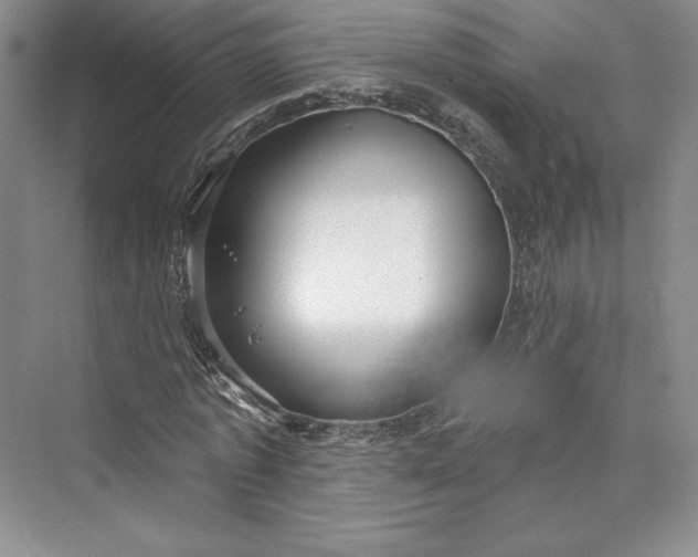 X0000073400773200608111258