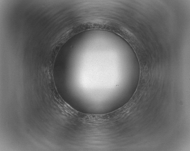 X0000073400774200608111258