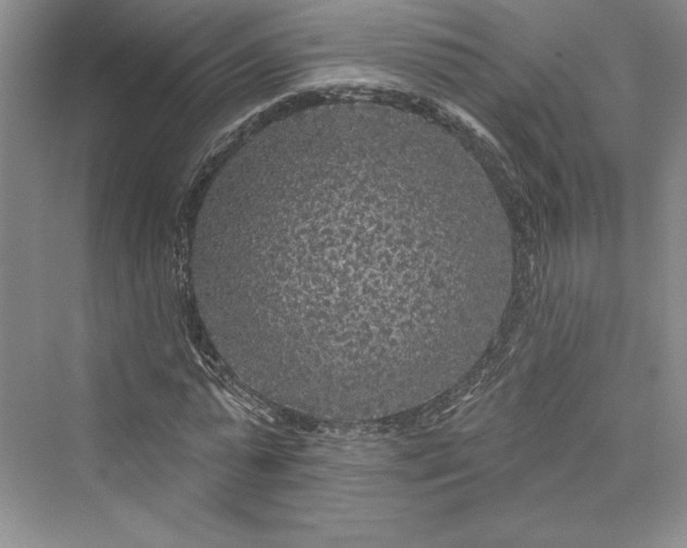 X0000073400775200608111258