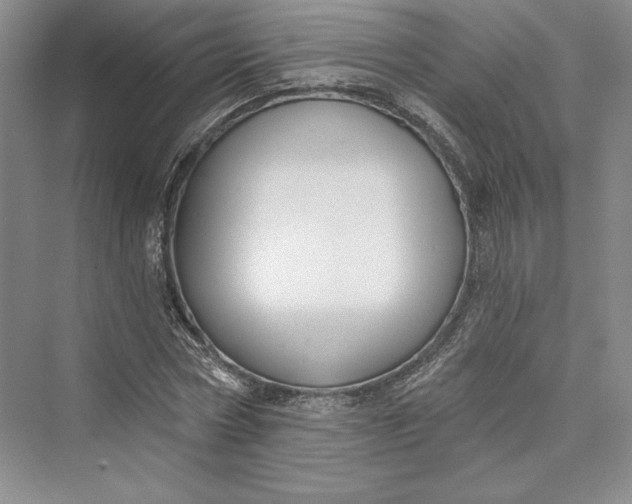X0000073400778200608111258