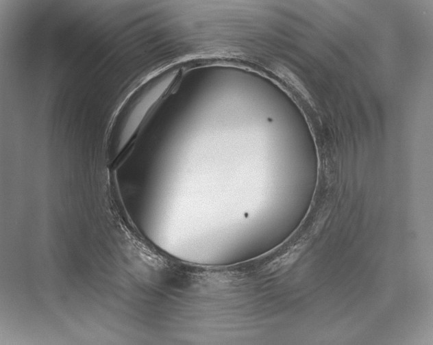 X0000073400781200608111258