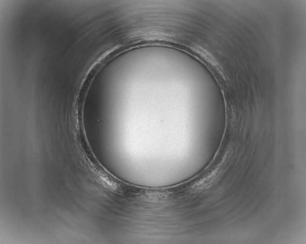 X0000073400782200608111258