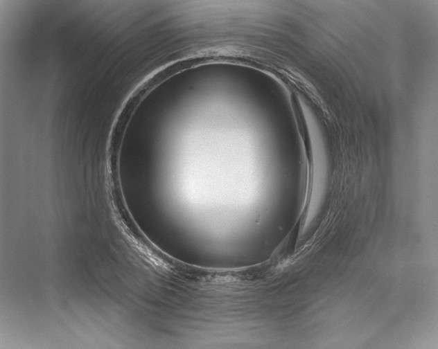 X0000073400784200608111258