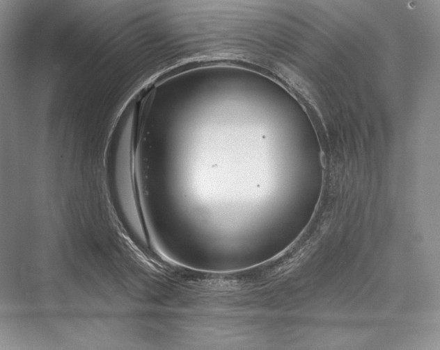 X0000073400789200608111258