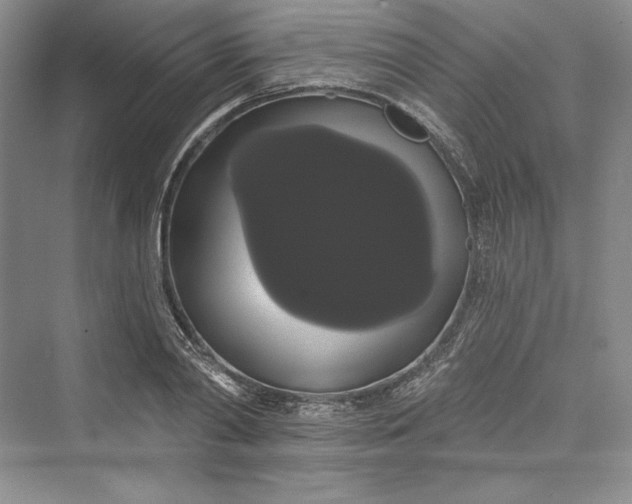 X0000073400790200608111258