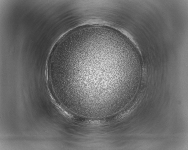 X0000073400791200608111258