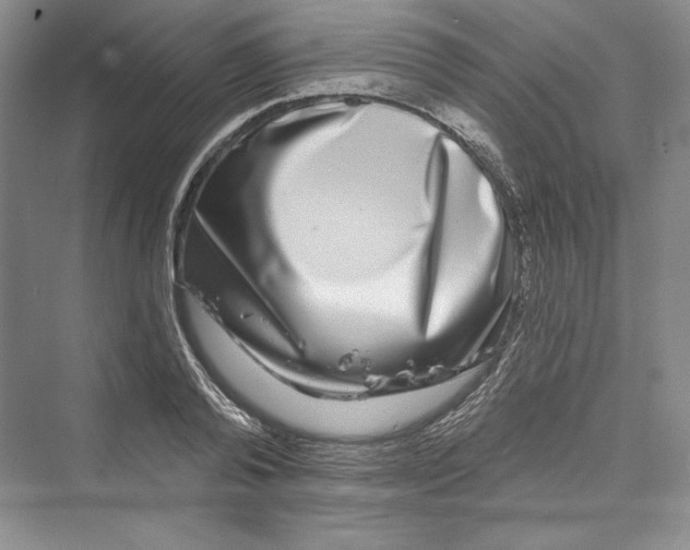 X0000073400792200608111258