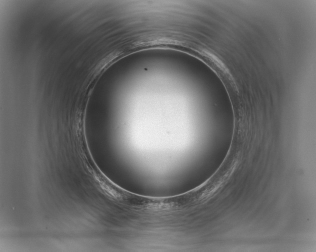 X0000073400793200608111258