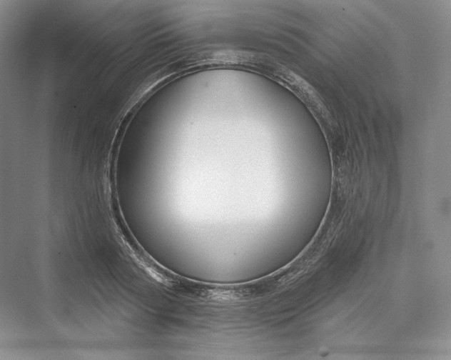 X0000073400794200608111258