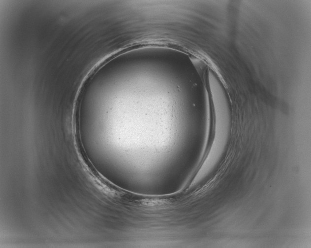 X0000073400795200608111257