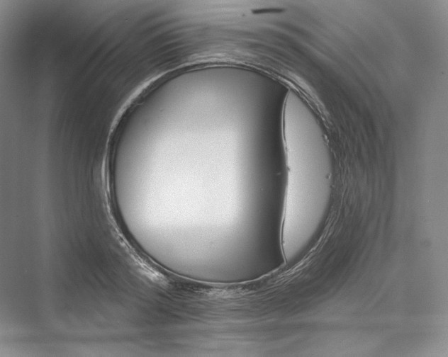 X0000073400796200608111257