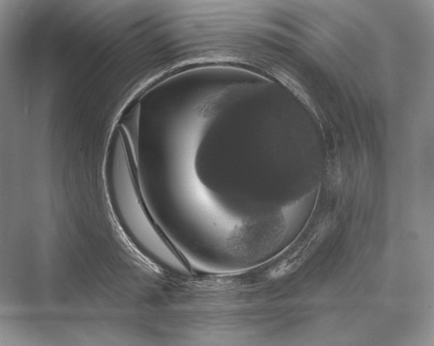 X0000073400797200608111257