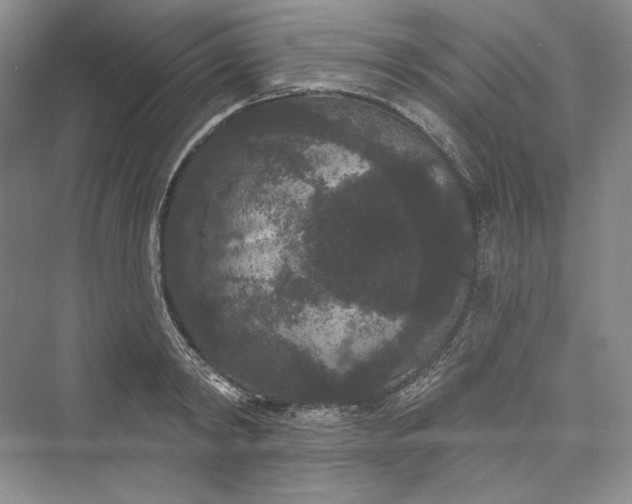 X0000073400798200608111257