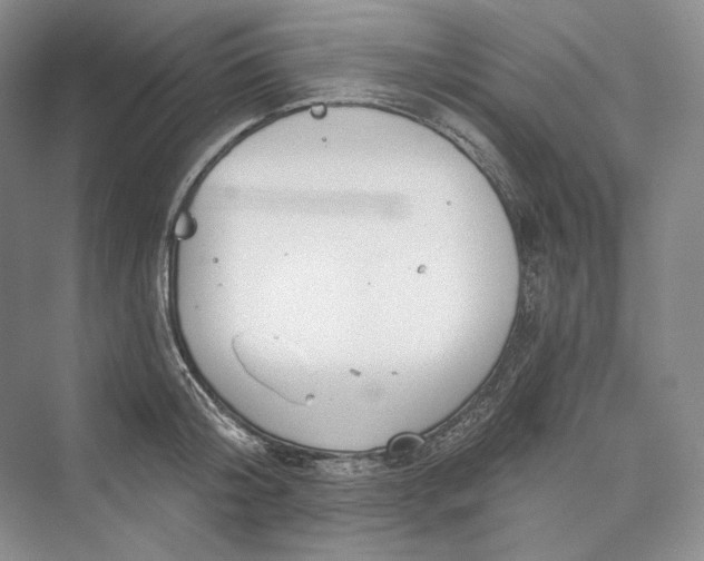 X0000073400804200608111257