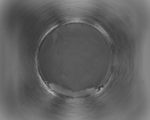X0000073400806200608111257