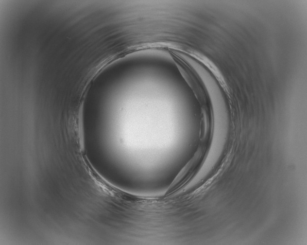 X0000073400809200608111257