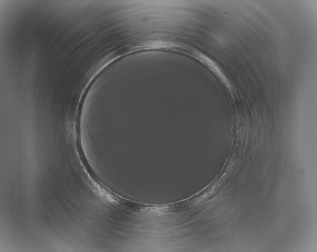 X0000073400810200608111257