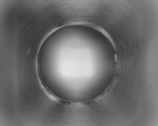 X0000073400811200608111257