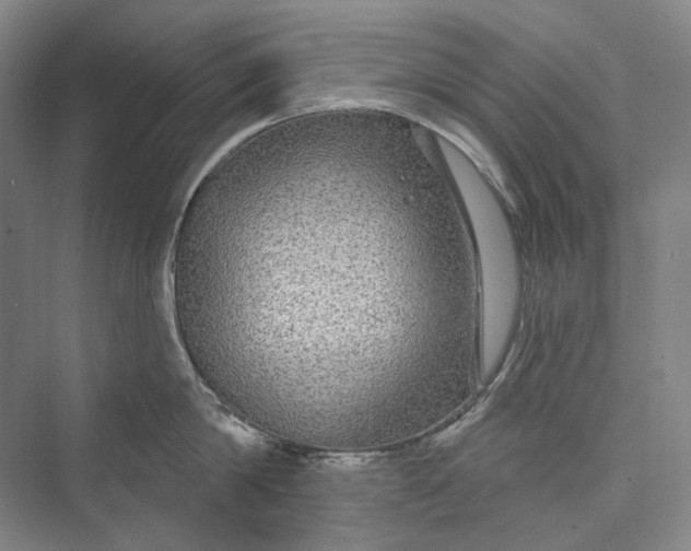 X0000073400814200608111257