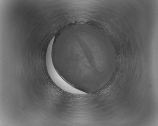 X0000073400818200608111256