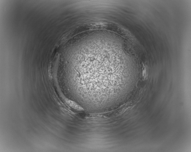 X0000073400819200608111256