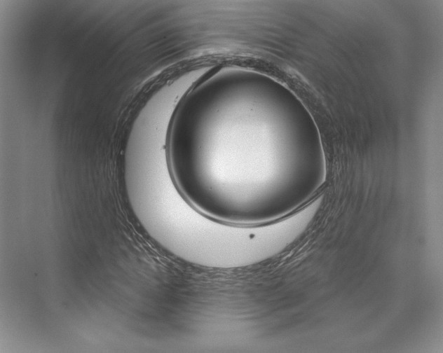X0000073400822200608111256
