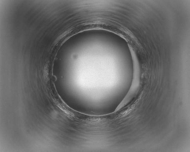 X0000073400826200608111256
