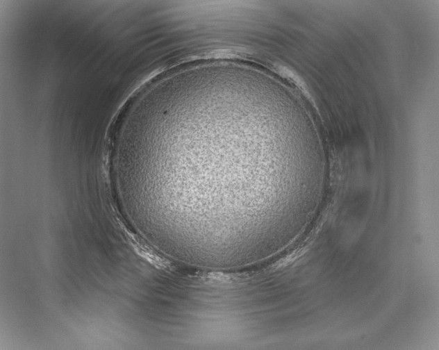 X0000073400827200608111257
