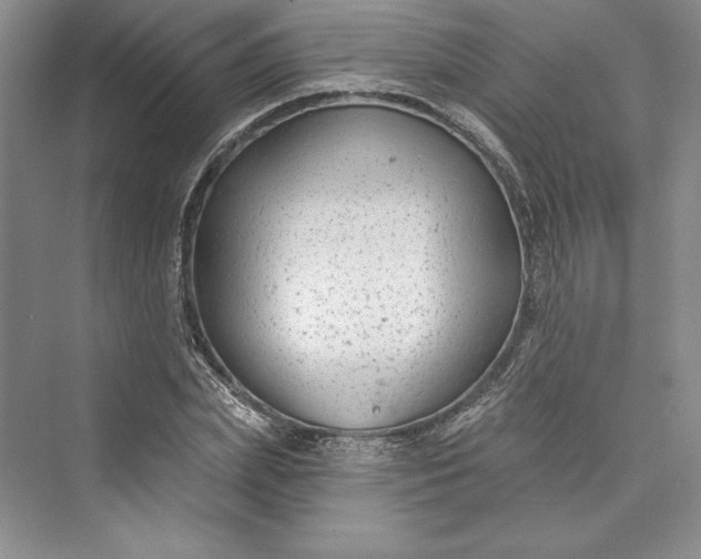 X0000073400831200608111257