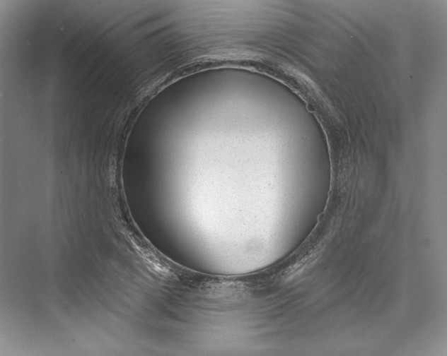 X0000073400833200608111257