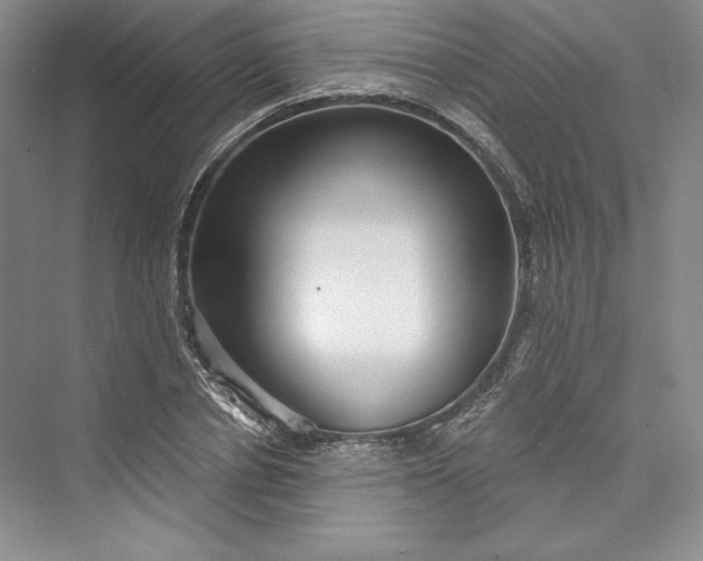 X0000073400834200608111257
