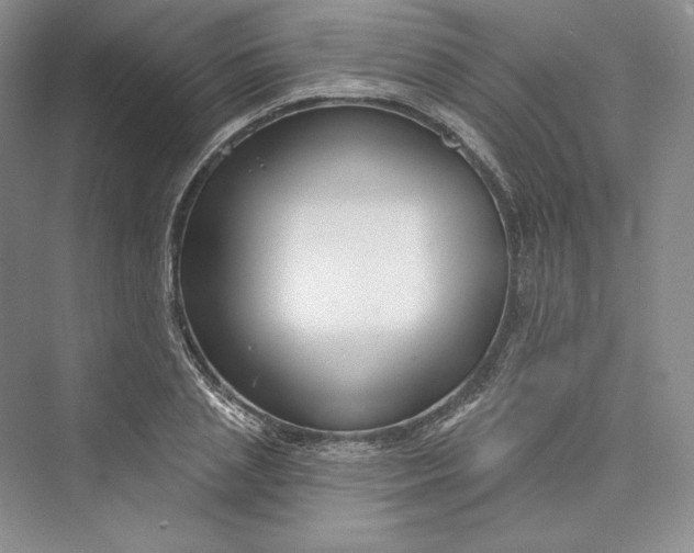 X0000073400837200608111257