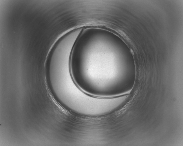 X0000073400838200608111257