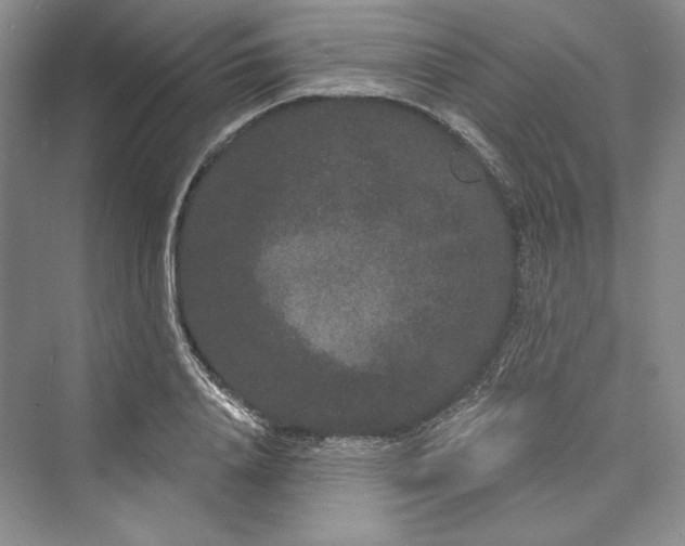 X0000073400840200608111257