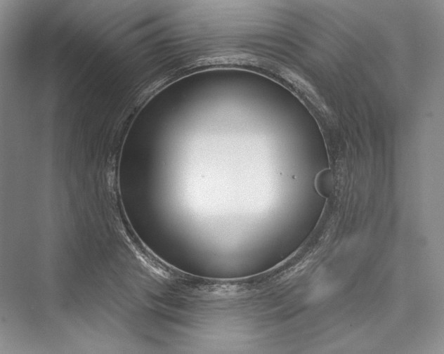 X0000073400841200608111257