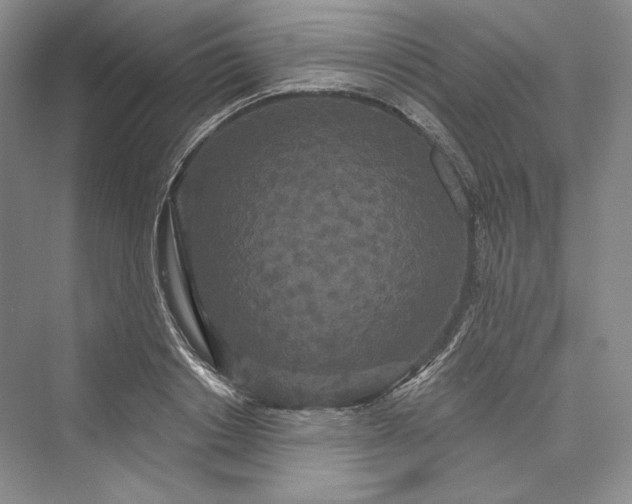 X0000073400842200608111257