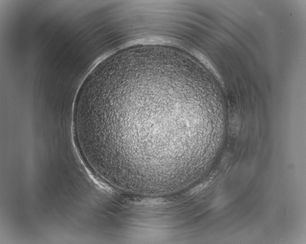 X0000073400845200608111257