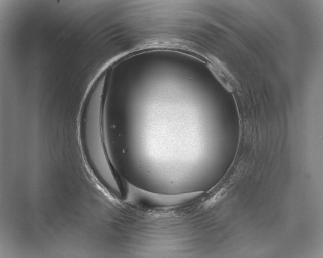 X0000073400846200608111257