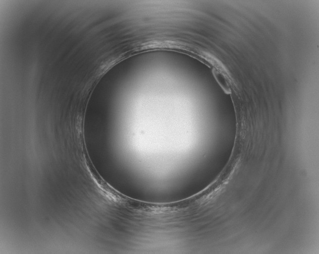 X0000073400849200608111257