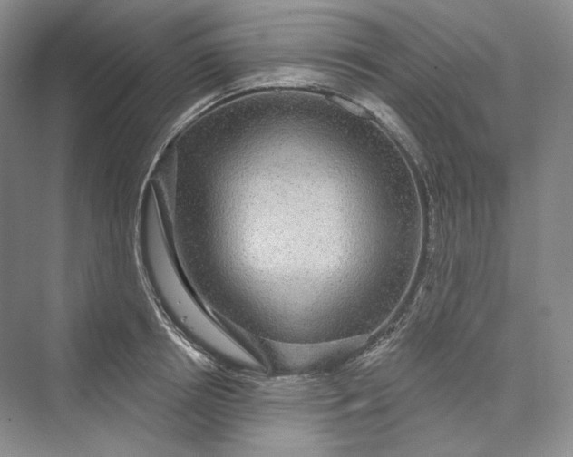 X0000073400850200608111257