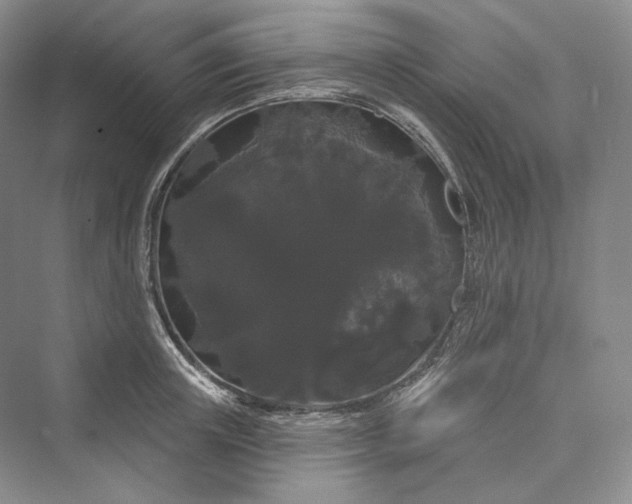 X0000073400851200608111257